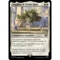 (Foil) Blanche - Floraison de l'Arbre blanc (R) [LTR]