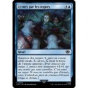 (Foil) Bleue - Cernés par les orques (C) [LTR]