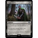 (Foil) Noire - Chute amère (U) [LTR]