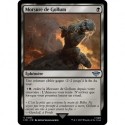 (Foil) Noire - Morsure de Gollum (U) [LTR]
