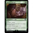 (Foil) Verte - Don de cheveux (U) [LTR]