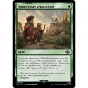 (Foil) Verte - Nombreuses séparations (C) [LTR]