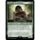 (Foil) Verte - Meriadoc Brandebouc (U) [LTR]