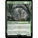 (Foil) Verte - Araignée de la Forêt Noire (C) [LTR]