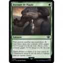 (Foil) Verte - Bravoure de Pippin (C) [LTR]