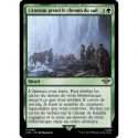 (Foil) Verte - L'Anneau prend le chemin du sud (R) [LTR]
