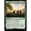 (Foil) Verte - Un raccourci vers les champignons (U) [LTR]