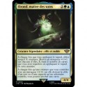 (Foil) Multicolore - Elrond, maître des soins (R) [LTR]
