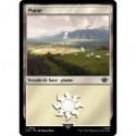 (Foil) Terrain - Plaine (V1) (L) [LTR]
