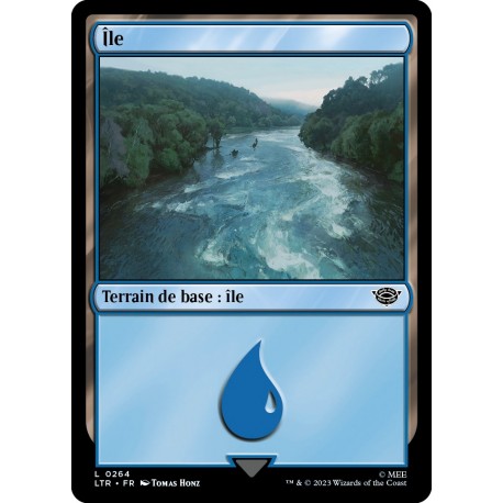 (Foil) Terrain - Île (V1) (L) [LTR]