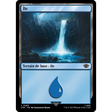 (Foil) Terrain - Île (V2) (L) [LTR]