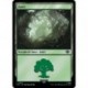 (Foil) Terrain - Forêt (V1) (L) [LTR]