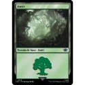 (Foil) Terrain - Forêt (V1) (L) [LTR]