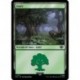 (Foil) Terrain - Forêt (V2) (L) [LTR]