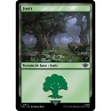 (Foil) Terrain - Forêt (V2) (L) [LTR]