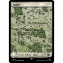 (Foil) Terrain - Plaine (V4) (L) [LTR]