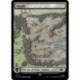 (Foil) Terrain - Marais (V4) (L) [LTR]