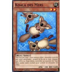 Koala des Mers  (C) [BP03]