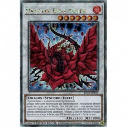 Dragon Rose Noire (QCSE) [TN23]