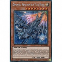 Dragon à Réaction aux Yeux Bleus (PSE) [MP23]