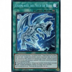 Vision avec des Yeux de Bleu (PSE) [MP23]