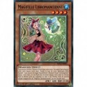 Magifille Libromancienne (C) [MP23]