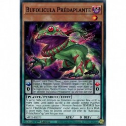Bufolicula Prédaplante (C) [MP23]