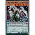 Triantis Prédaplante (C) [MP23]