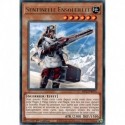 Sentinelle Ensoleillée (R) [MP23]
