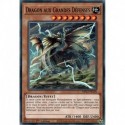 Dragon aux Grandes Défenses (C) [MP23]