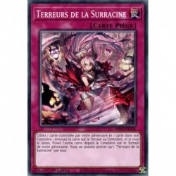Terreurs de la Surracine (C) [MP23]