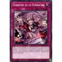 Terreurs de la Surracine (C) [MP23]