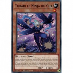 Tobari le Ninja du Ciel (C) [MP23]