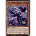 Tobari le Ninja du Ciel (C) [MP23]