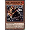 Kagéro le Ninja des Canons (C) [MP23]