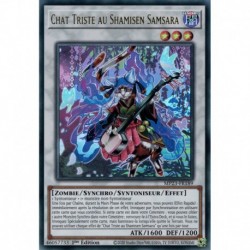 Chat Triste au Shamisen Samsara (UR) [MP23]