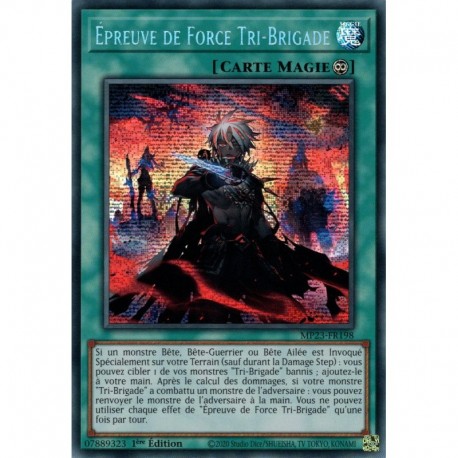 Épreuve de Force Tri-Brigade (PSE) [MP23]