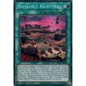 Naissance Kashtira (PSE) [MP23]