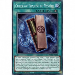 Cahier Art Ninjitsu du Mystère (C) [MP23]