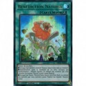 Bénédiction Naturia (UR) [MP23]