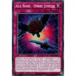 Aile Noire - Ombre Jumelle (C) [MP23]