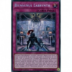 Bienvenue Labrynth (PSE) [MP23]