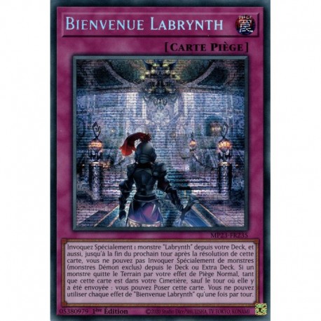 Bienvenue Labrynth (PSE) [MP23]