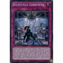 Bienvenue Labrynth (PSE) [MP23]