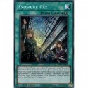 Exosœur Pax (PSE) [MP23]