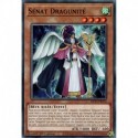 Sénat Dragunité (C) [MP23]
