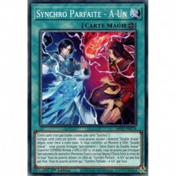 Synchro Parfaite - A-Un (C) [MP23]