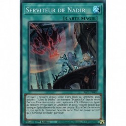 Serviteur de Nadir (SR) [RA01]