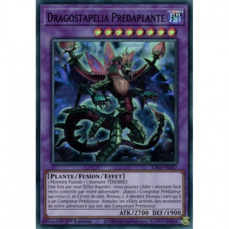 Dragostapelia Prédaplante (UR) [RA01]