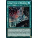 Serviteur de Nadir (UR) [RA01]